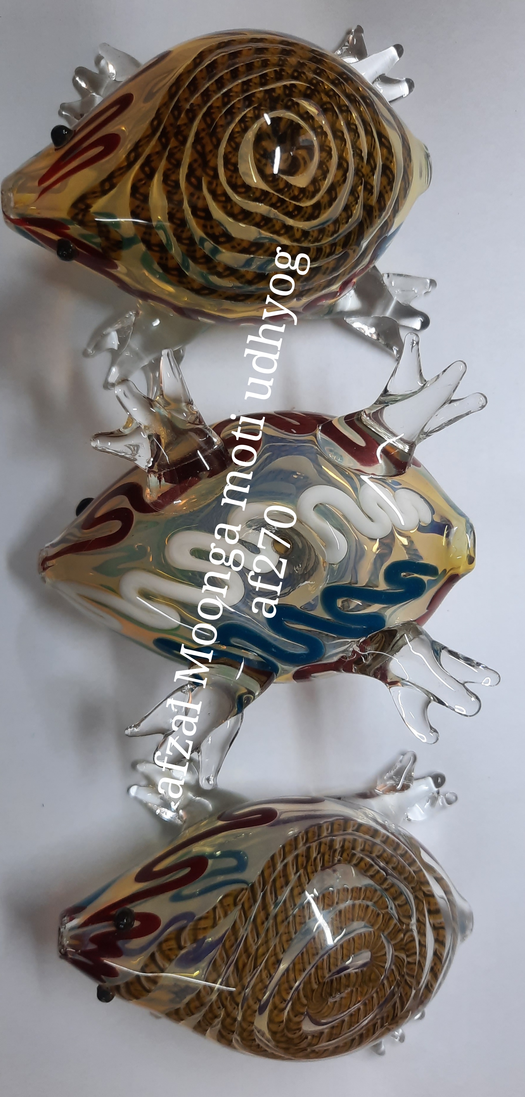 frog
